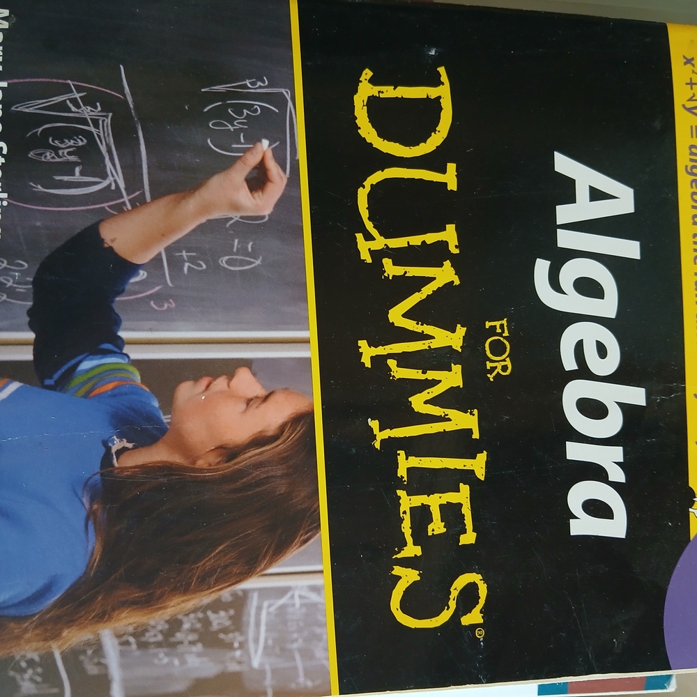 Algebra For Dummies Book